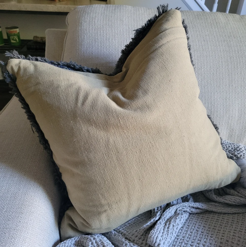 Pottery barn pillow cases